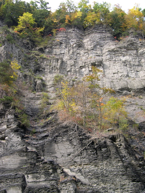 DSCN0166.JPG
