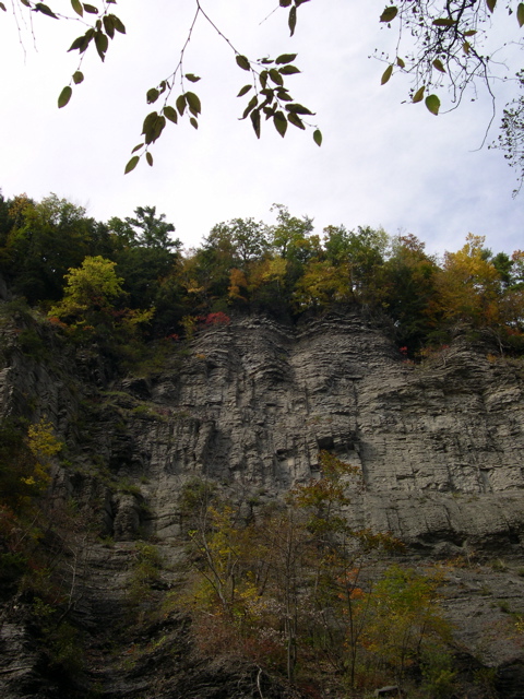 DSCN0168.JPG