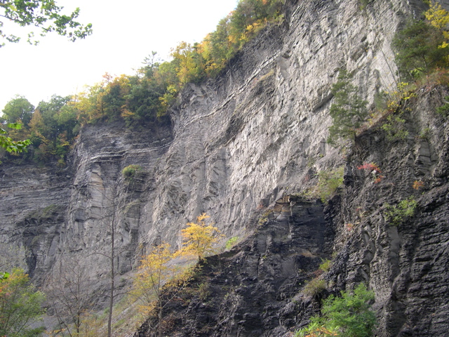 DSCN0169.JPG