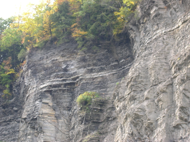 DSCN0170.JPG