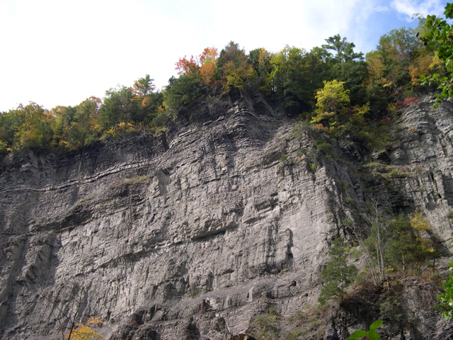 DSCN0171.JPG