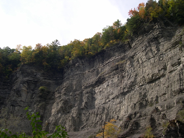 DSCN0172.JPG