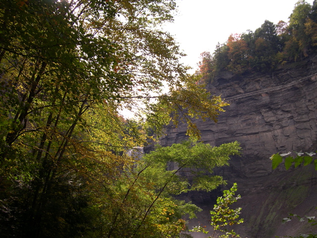 DSCN0177.JPG