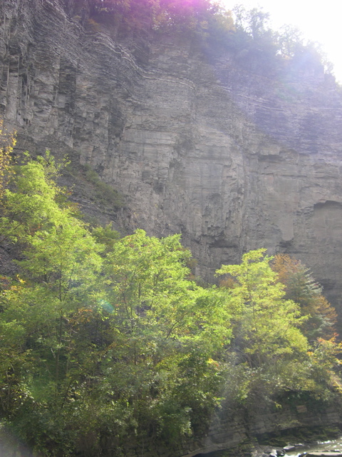DSCN0184.JPG