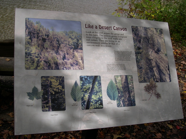 DSCN0195.JPG