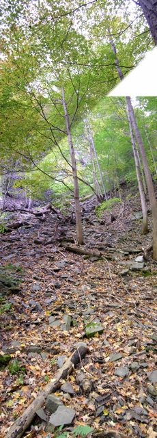 Taughannockuptheshaleslop