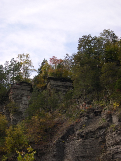 DSCN0102.JPG