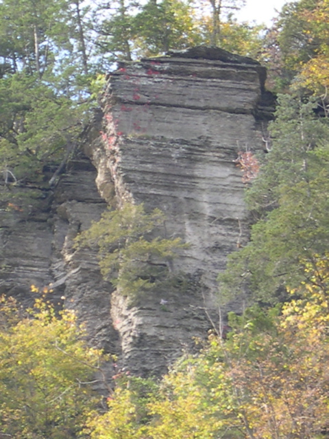 DSCN0103.JPG