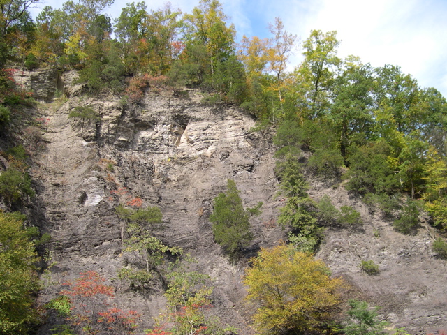 DSCN0111.JPG
