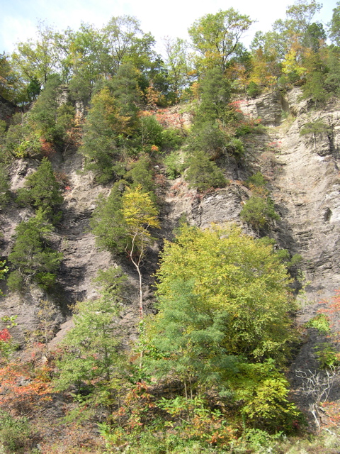 DSCN0113.JPG