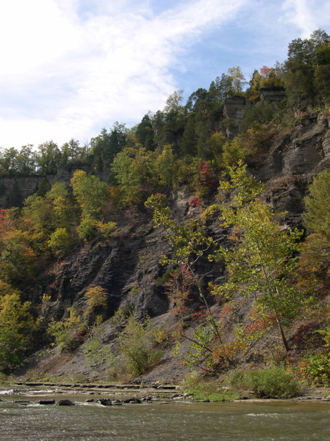 DSCN0116.JPG
