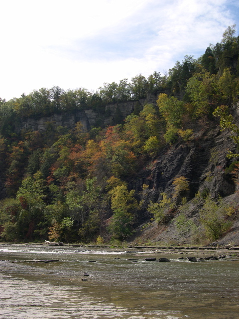 DSCN0118.JPG