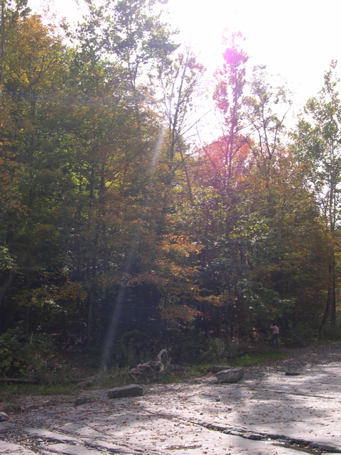 DSCN0121.JPG