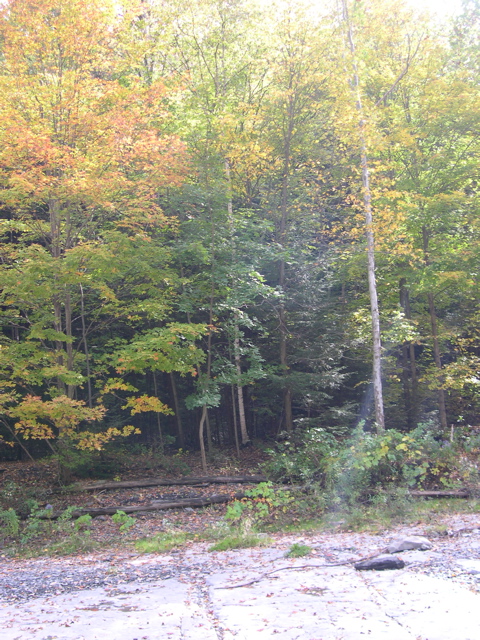 DSCN0123.JPG