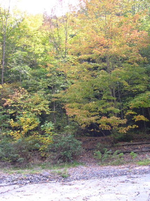 DSCN0124.JPG