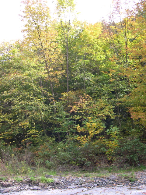 DSCN0125.JPG