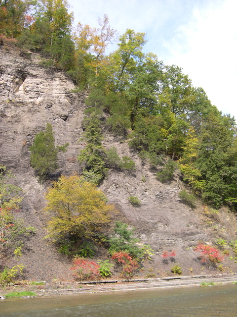 DSCN0131.JPG