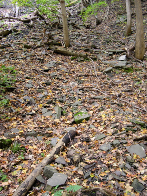 DSCN0146.JPG