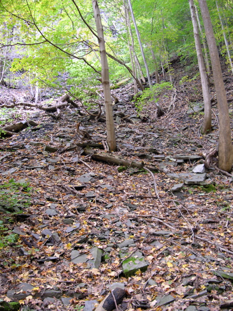 DSCN0147.JPG