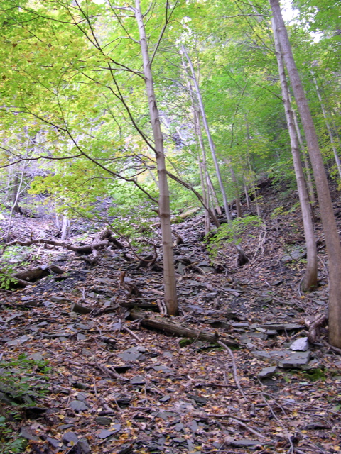 DSCN0148.JPG