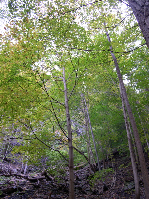 DSCN0150.JPG