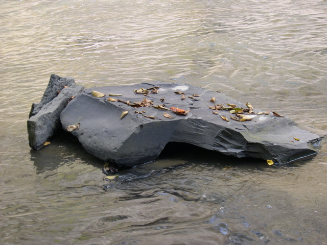 DSCN0158.JPG