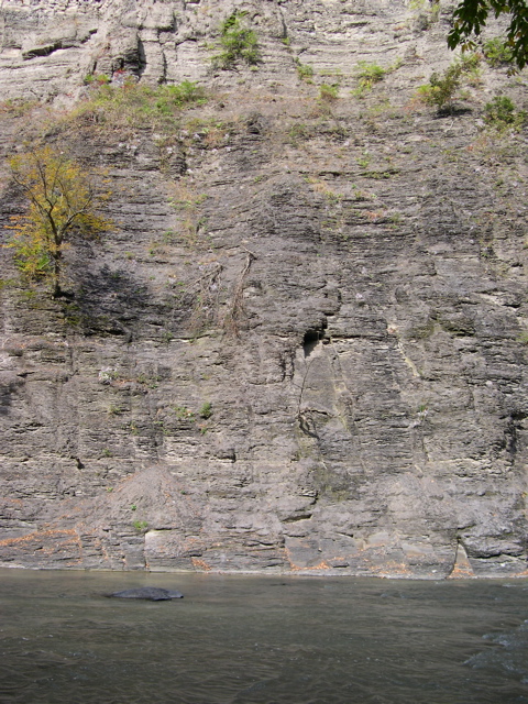 DSCN0159.JPG