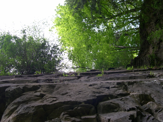 Looking up cliff face.JPG